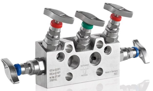 Stainless Steel 5 Way Manifold Valve